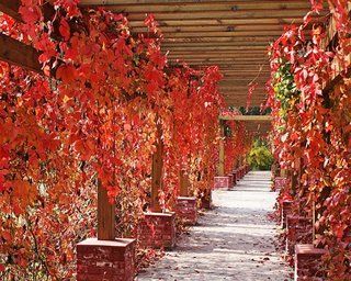 Beijing Jinyu Badaling Hot Spring Resort Xiaohetun Ngoại thất bức ảnh